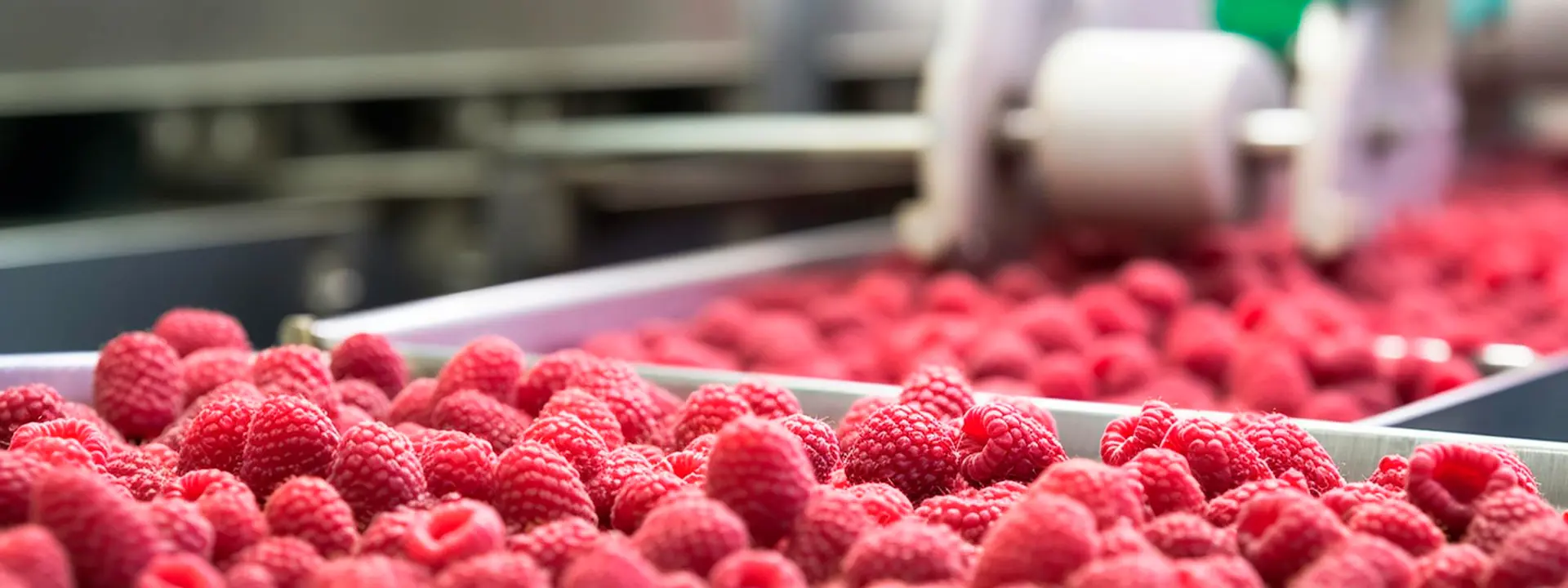 Raspberries Tape Food Industry Products Ready Automatic Packaging Concept With Automated Food Production Generative Ai