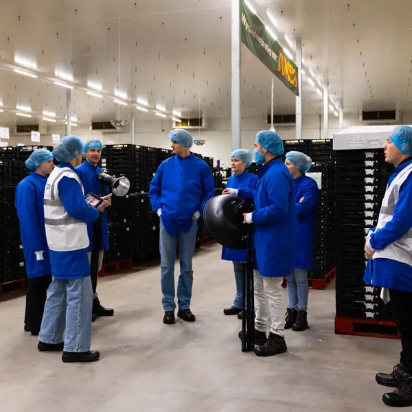 Kennisoverdracht en teamontwikkeling