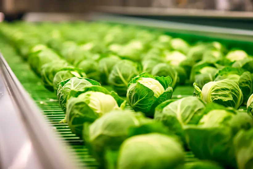 Tape Food Industry Products Ready Asla Utomatic Packaging Concept With Automated Food Production Generative Ai