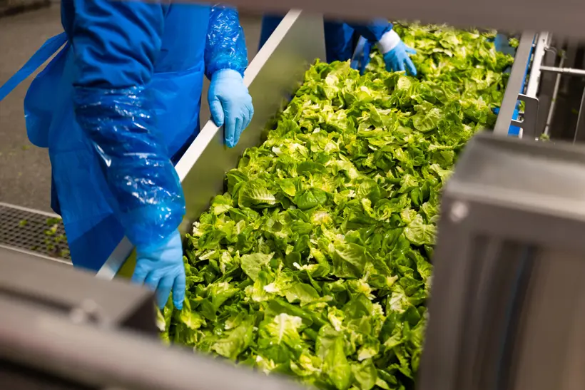 Yor In Hessing Sevenum 07 08 2025 Epsilon Studios Ektor Tsolodimos Deel 1 8