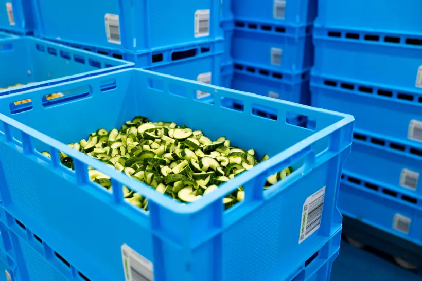 Yor In Hessing Sevenum 07 08 2025 Epsilon Studios Ektor Tsolodimos Deel 1 18