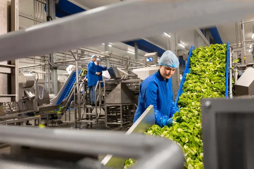 Yor In Hessing Sevenum 07 08 2025 Epsilon Studios Ektor Tsolodimos Deel 1 12