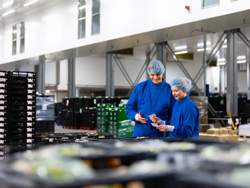 Junior Quality Assurance Specialist