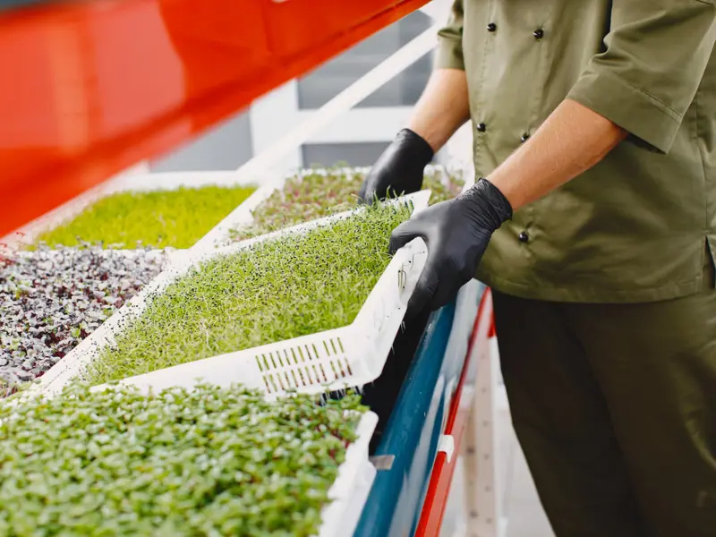 Regulatory Affairs Specialist Crop Protection & Bio Development